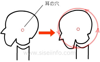 首と頭の関節の模式図