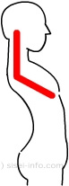 胸を張った姿勢の背中の形はL字に似ている